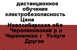 дистанционное обучение - электробезопасность › Цена ­ 2 500 - Новосибирская обл., Черепановский р-н, Черепаново г. Услуги » Другие   